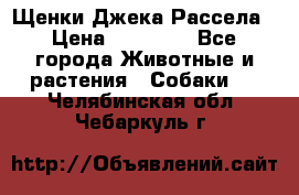 Щенки Джека Рассела › Цена ­ 10 000 - Все города Животные и растения » Собаки   . Челябинская обл.,Чебаркуль г.